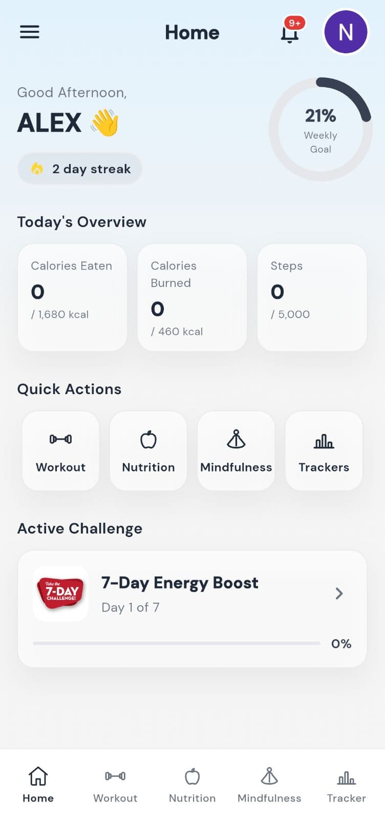 Body Mechanics home dashboard